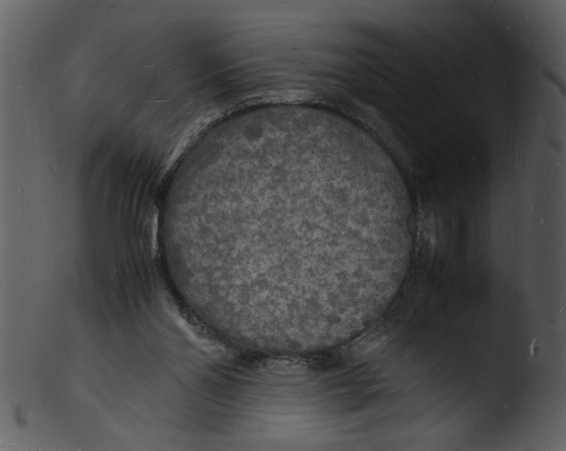 X0000103290110200809261259