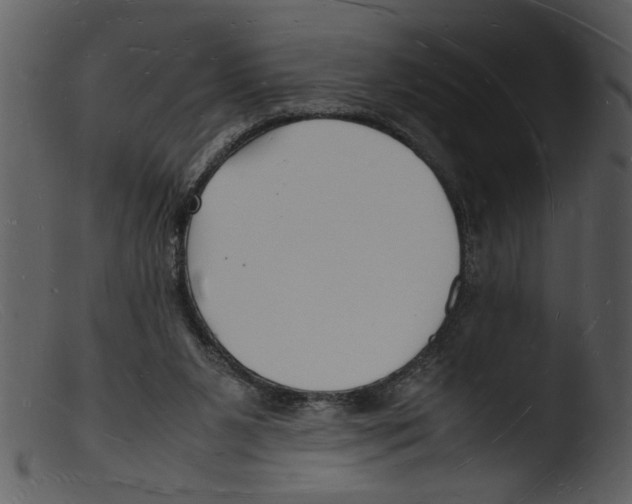 X0000103290111200809261259