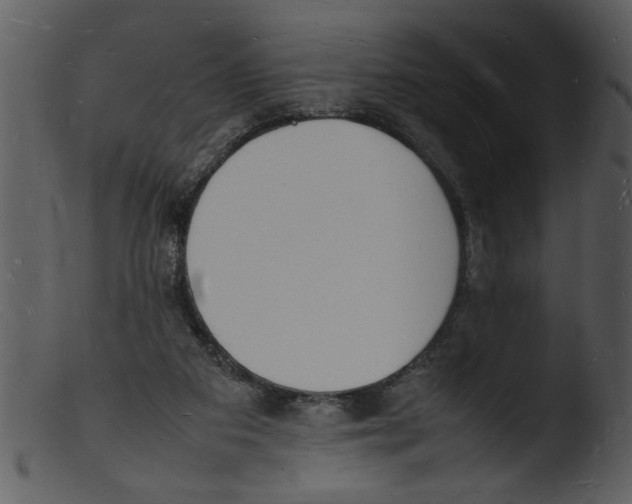 X0000103290113200809261259
