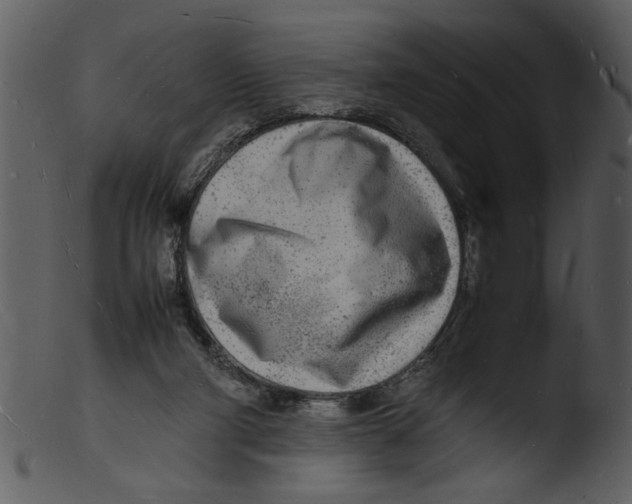 X0000103290114200809261259