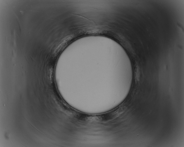 X0000103290115200809261259