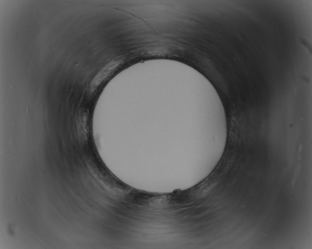 X0000103290116200809261259