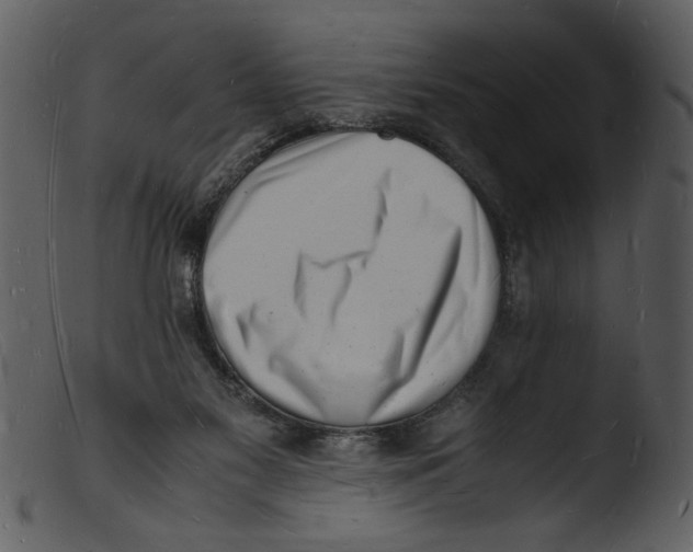 X0000103290117200809261259