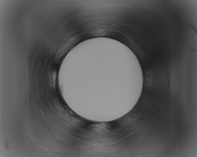 X0000103290118200809261259