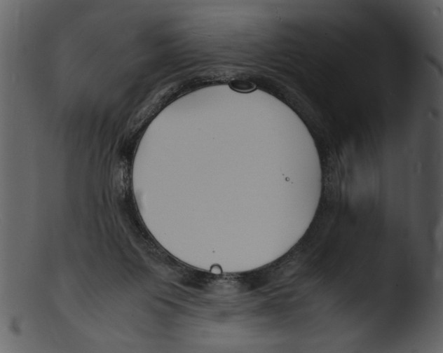 X0000103290119200809261259