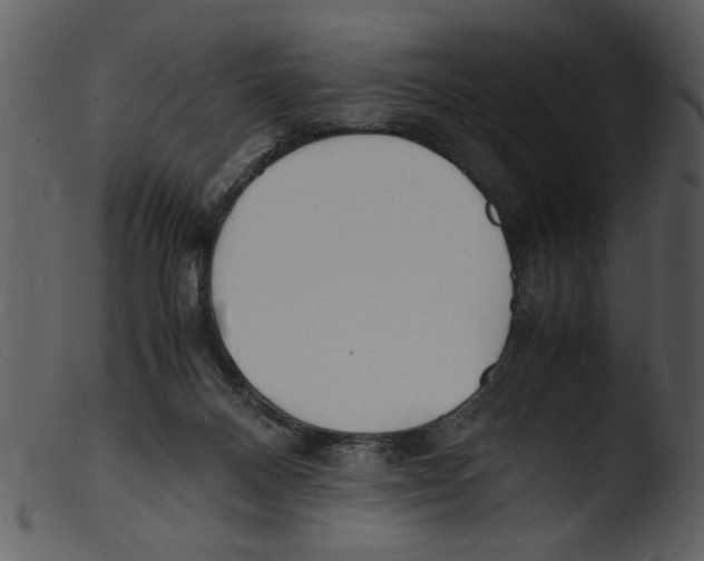 X0000103290120200809261259