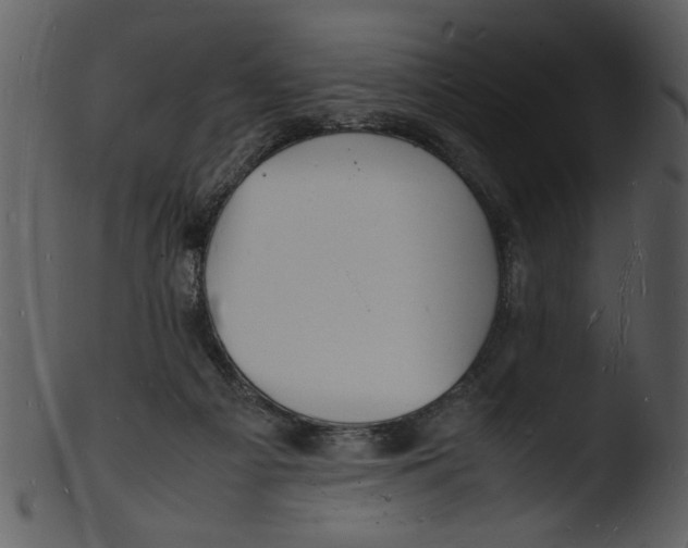 X0000103290121200809261259
