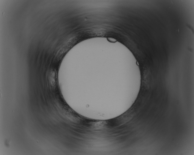 X0000103290122200809261259