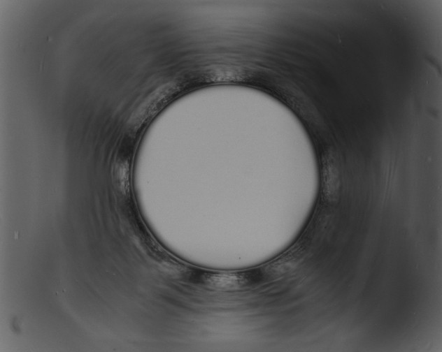 X0000103290123200809261259