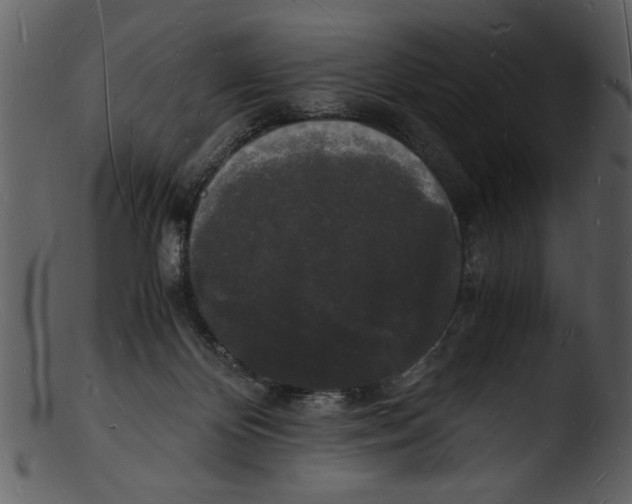 X0000103290124200809261258
