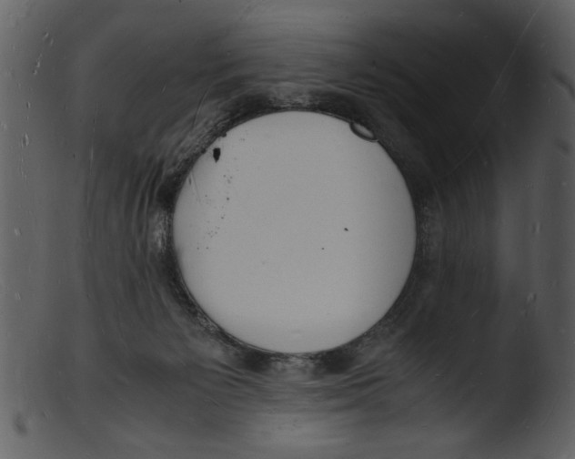 X0000103290125200809261258