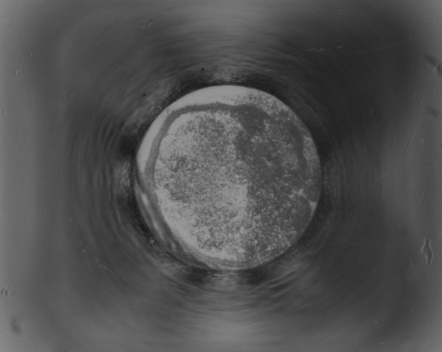 X0000103290127200809261258