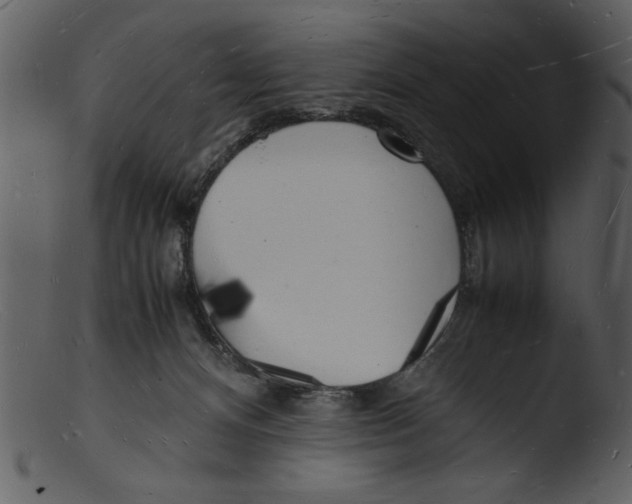 X0000103290128200809261258