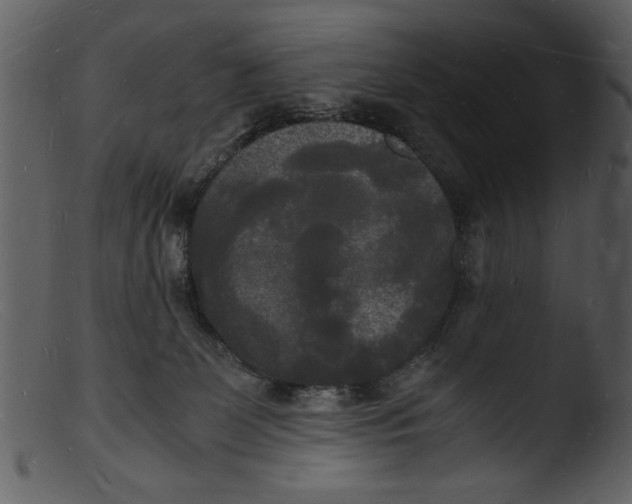 X0000103290131200809261258