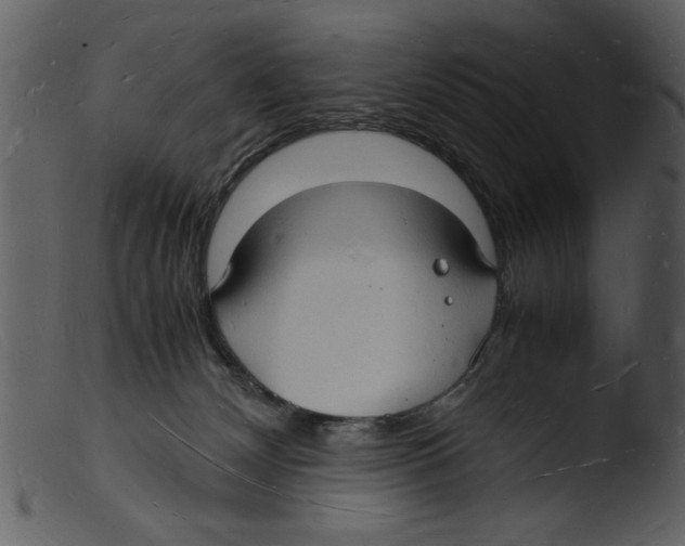 X0000103290132200809261258