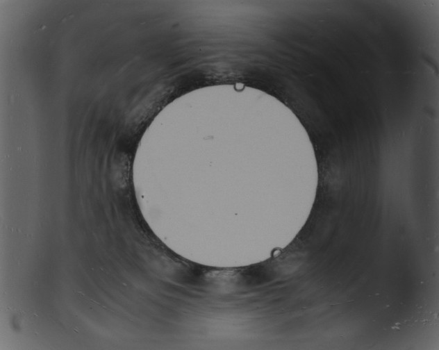 X0000103290133200809261258