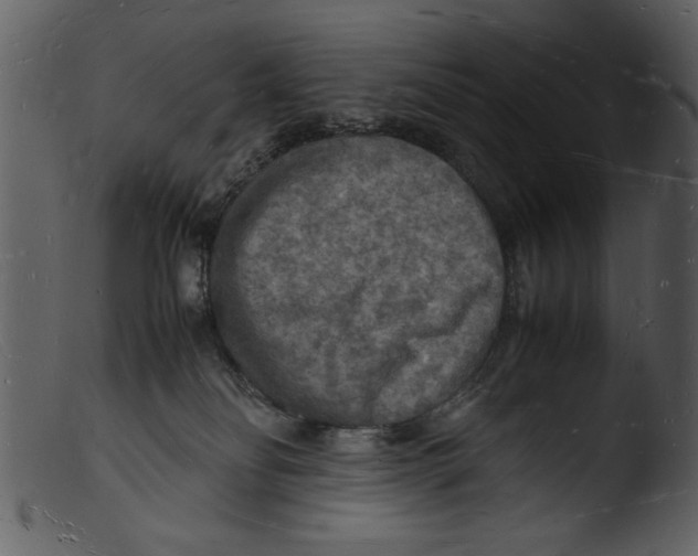 X0000103290134200809261258