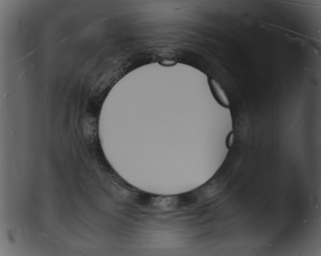 X0000103290135200809261258