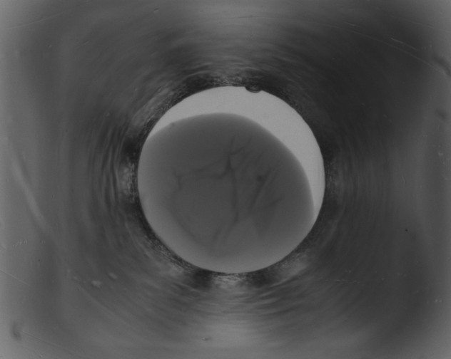 X0000103290139200809261258