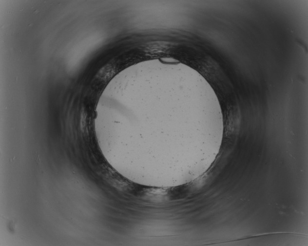 X0000103290140200809261258