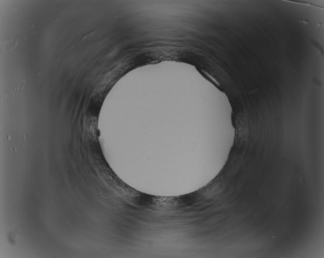 X0000103290141200809261258