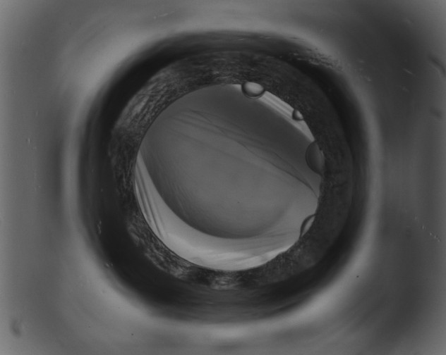 X0000103290143200809261258