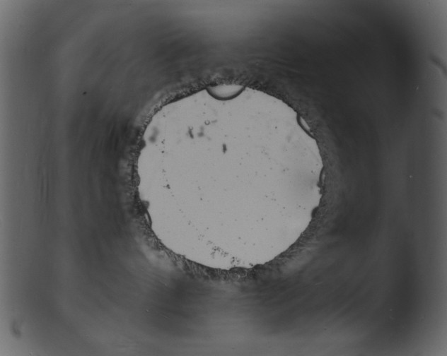X0000103290144200809261258