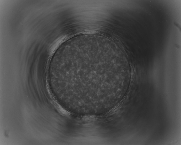 X0000103290145200809261257