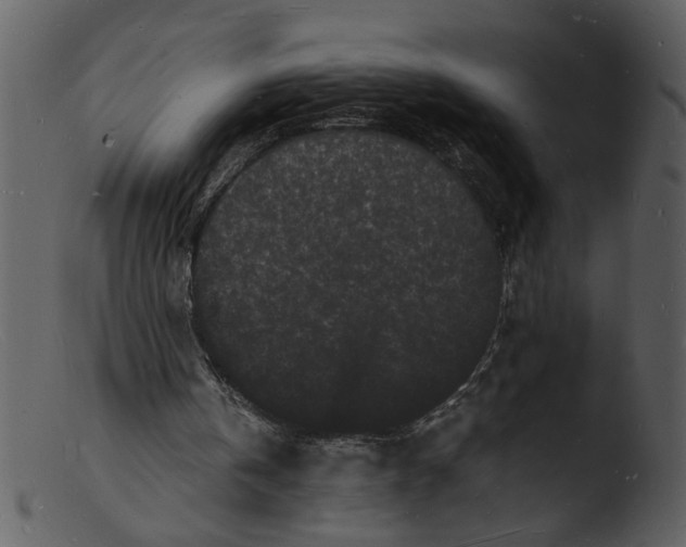 X0000103290146200809261257