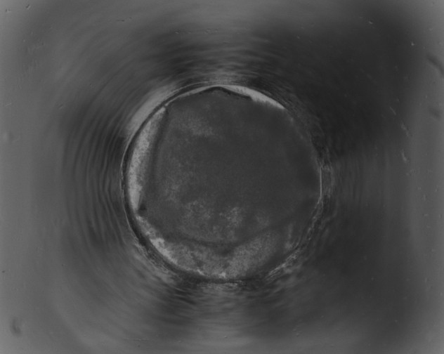 X0000103290147200809261257