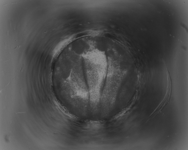 X0000103290149200809261257