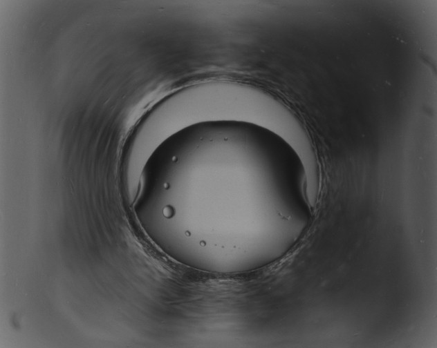 X0000103290150200809261257