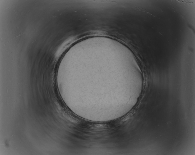 X0000103290151200809261257
