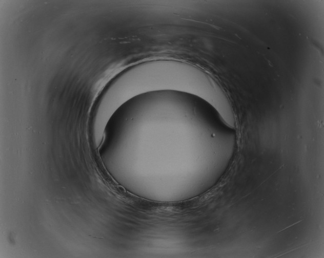 X0000103290152200809261257