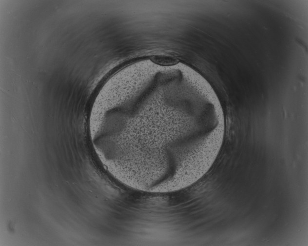 X0000103290156200809261258