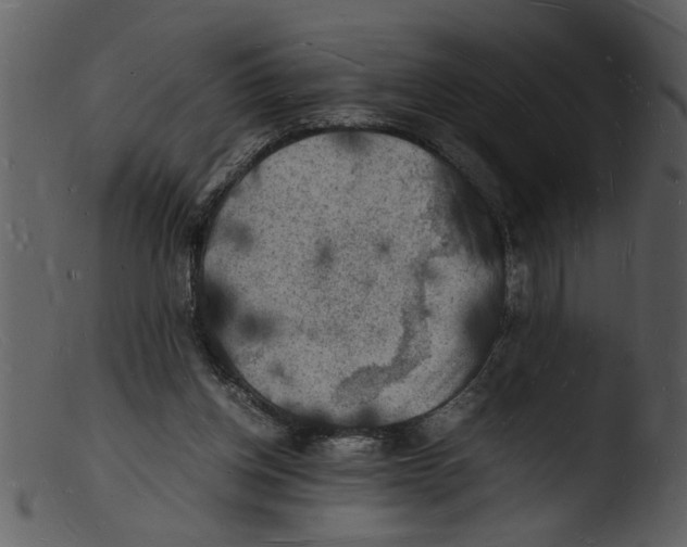 X0000103290158200809261258