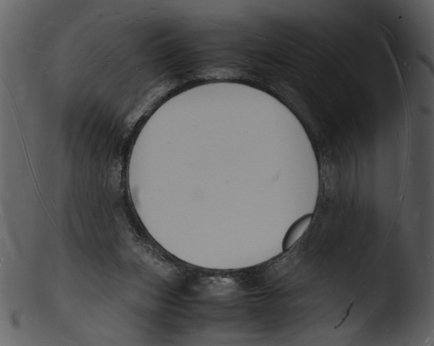 X0000103290159200809261258