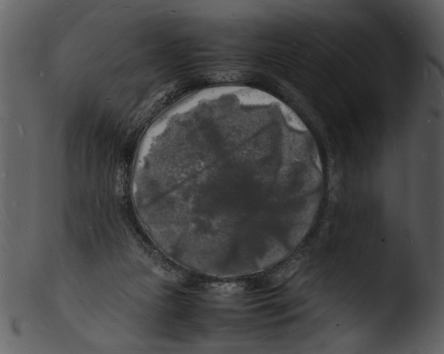 X0000103290161200809261258