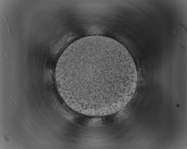 X0000103290162200809261258