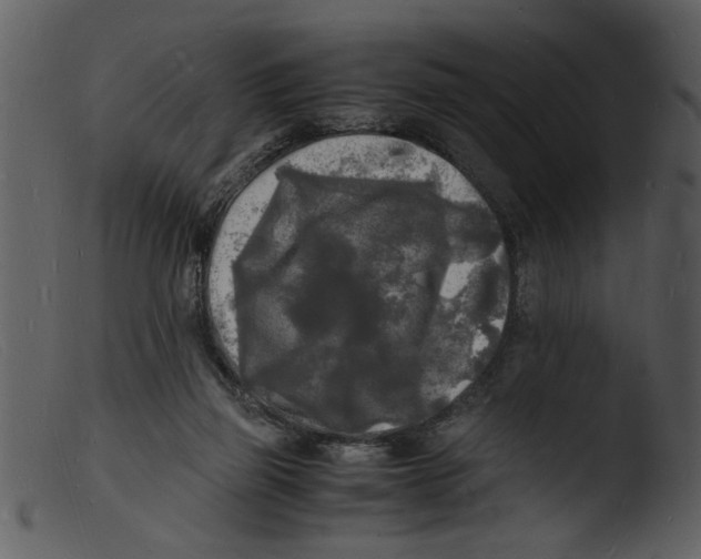 X0000103290165200809261258