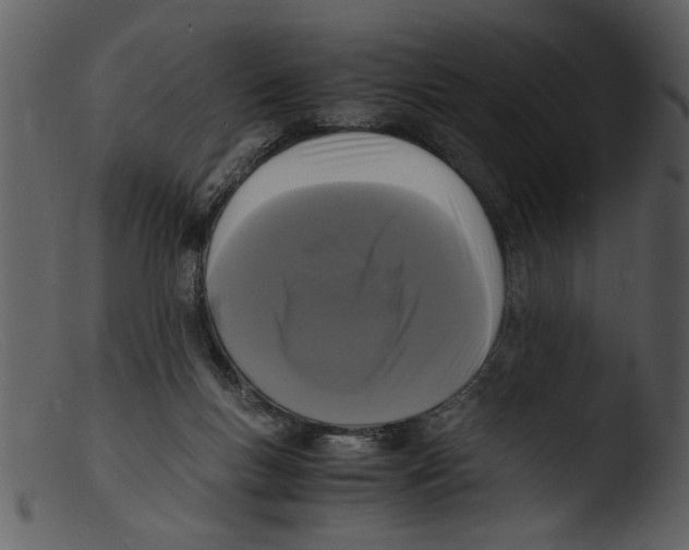 X0000103290167200809261258