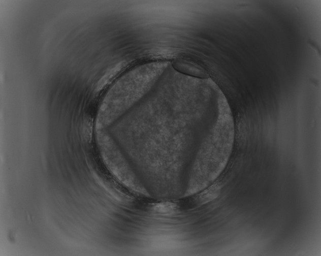 X0000103290168200809261258