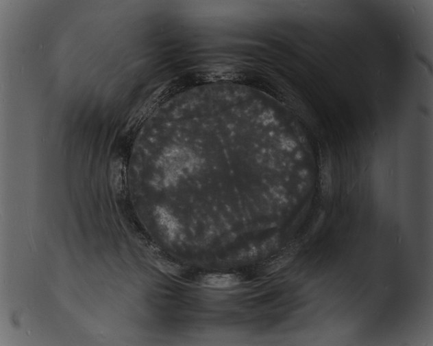 X0000103290169200809261258