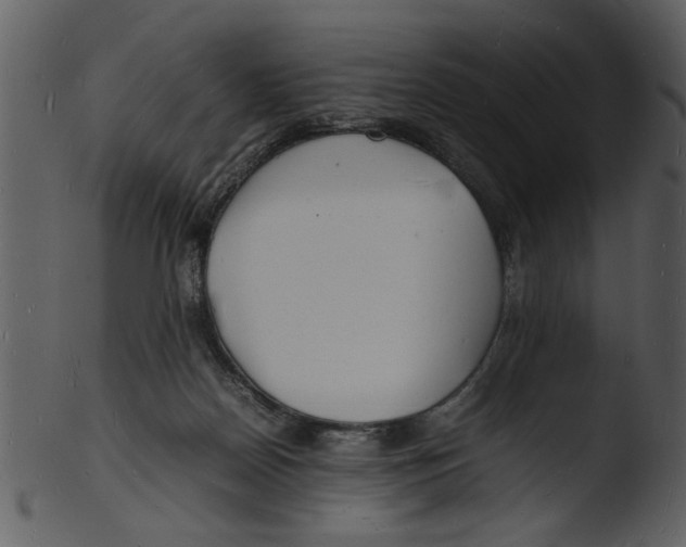 X0000103290170200809261258
