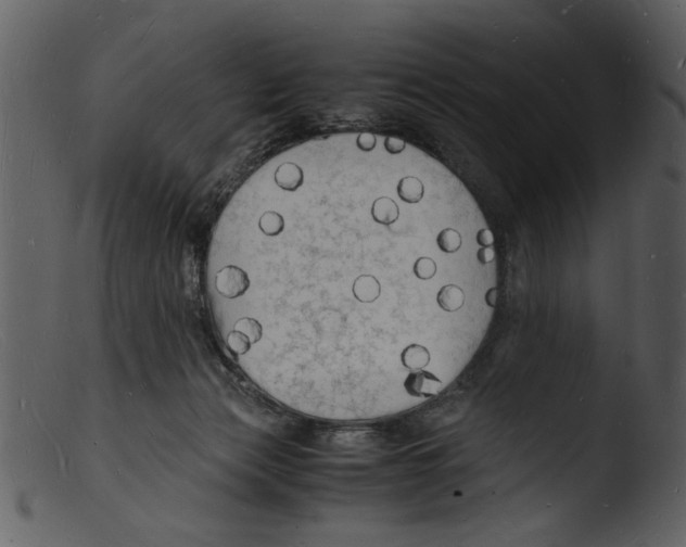 X0000103290173200809261258