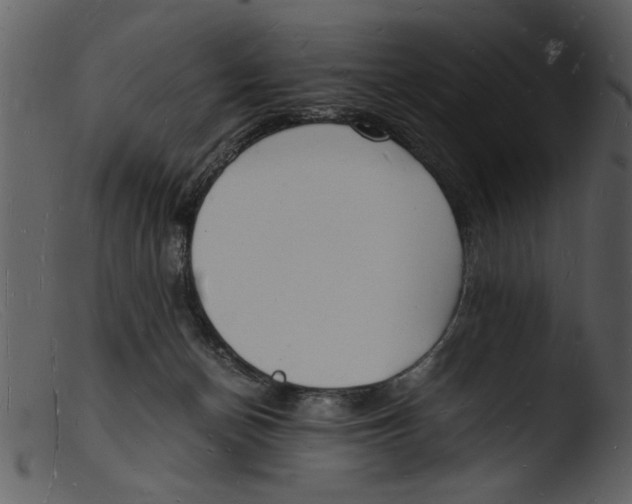 X0000103290174200809261258