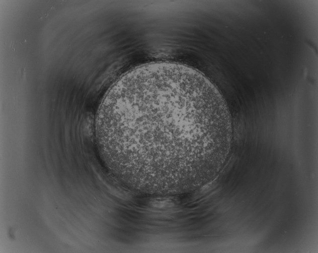 X0000103290175200809261258
