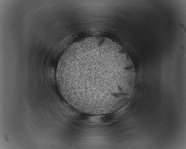 X0000103290178200809261258