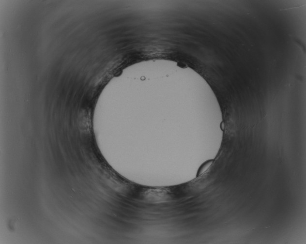 X0000103290179200809261258