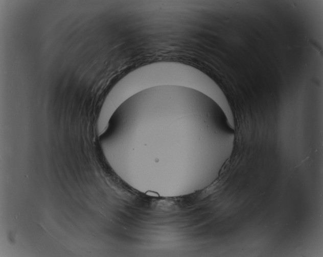 X0000103290180200809261258